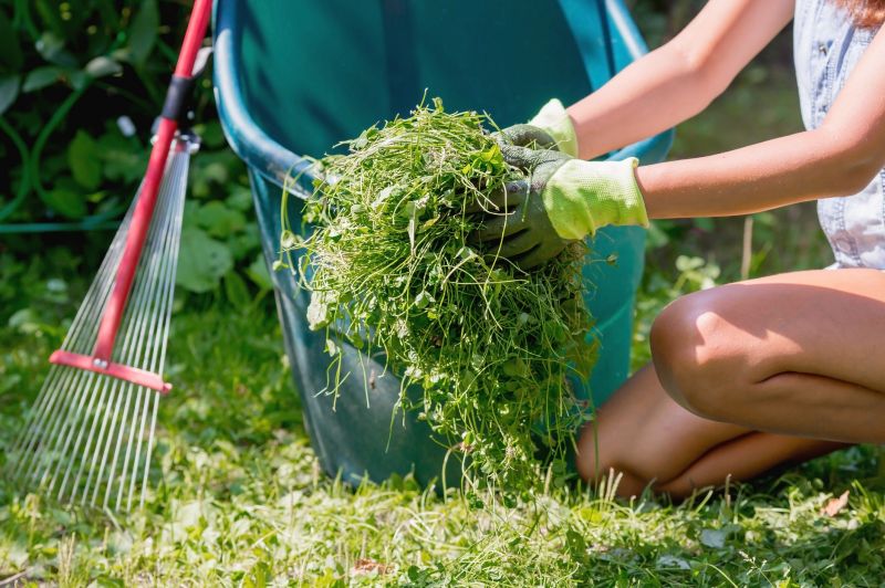 Fall Lawn Cleanup Service