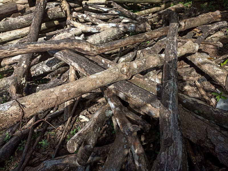 Debris Removal detail